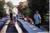 bbq77.jpg (72574 Byte)