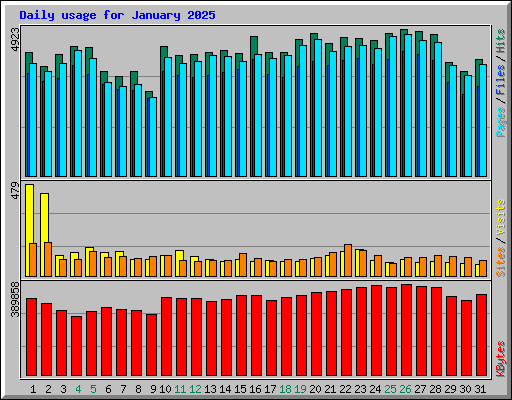 Daily usage for January 2025