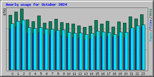 Hourly usage for October 2024