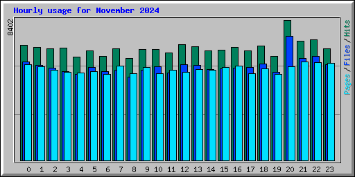 Hourly usage for November 2024