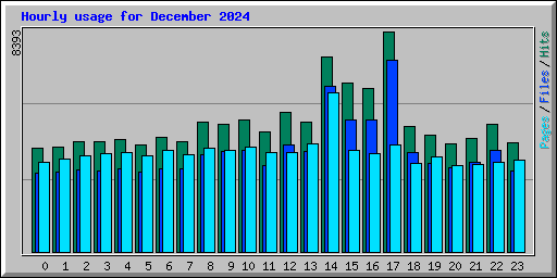 Hourly usage for December 2024