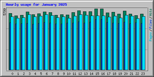 Hourly usage for January 2025