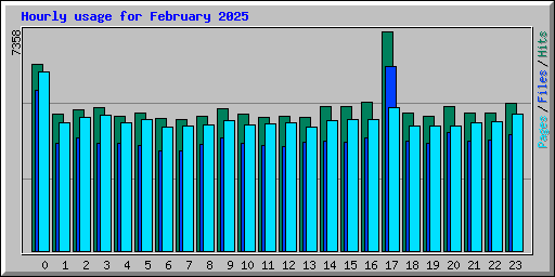 Hourly usage for February 2025