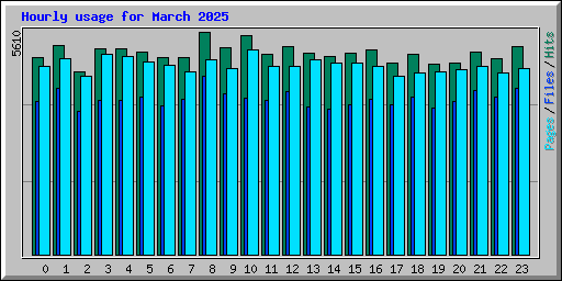 Hourly usage for March 2025