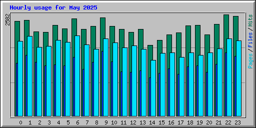 Hourly usage for May 2025
