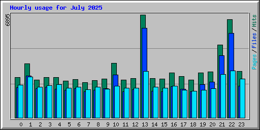 Hourly usage for July 2025